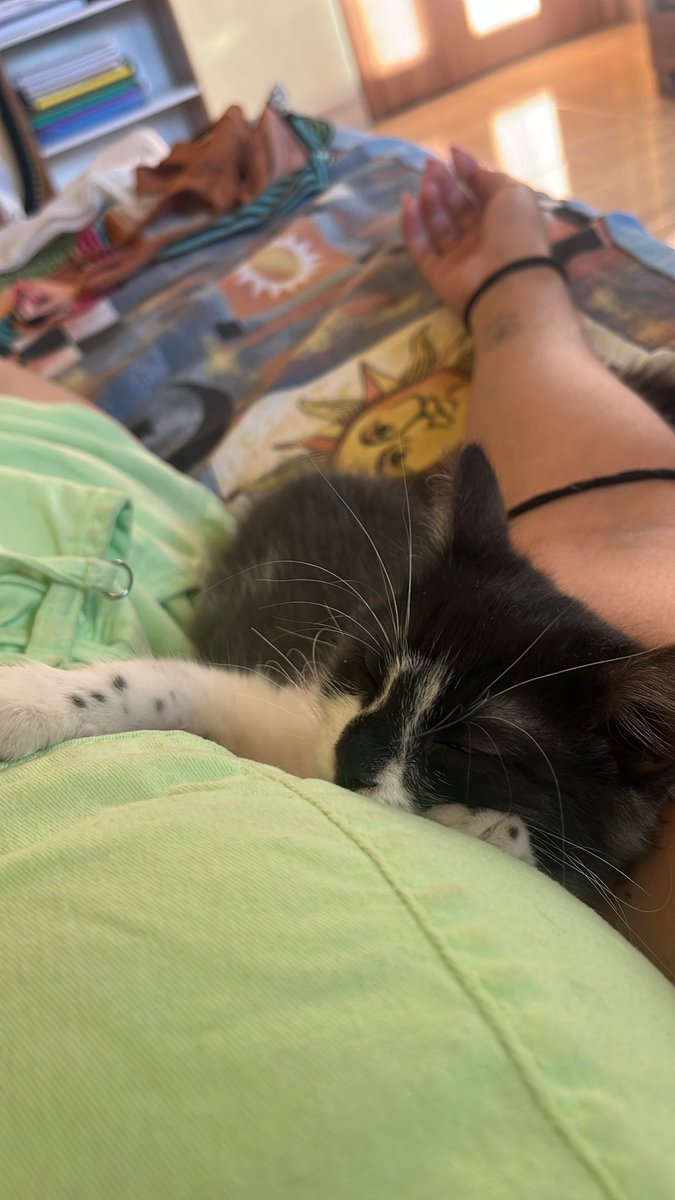 tavaresvee's tweet photo. Gosta de dormir abraçada com a mamaim 😻 https://t.co/WB6mCdMvgc