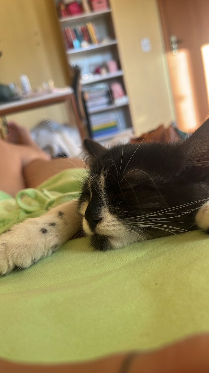 tavaresvee's tweet photo. Gosta de dormir abraçada com a mamaim 😻 https://t.co/WB6mCdMvgc