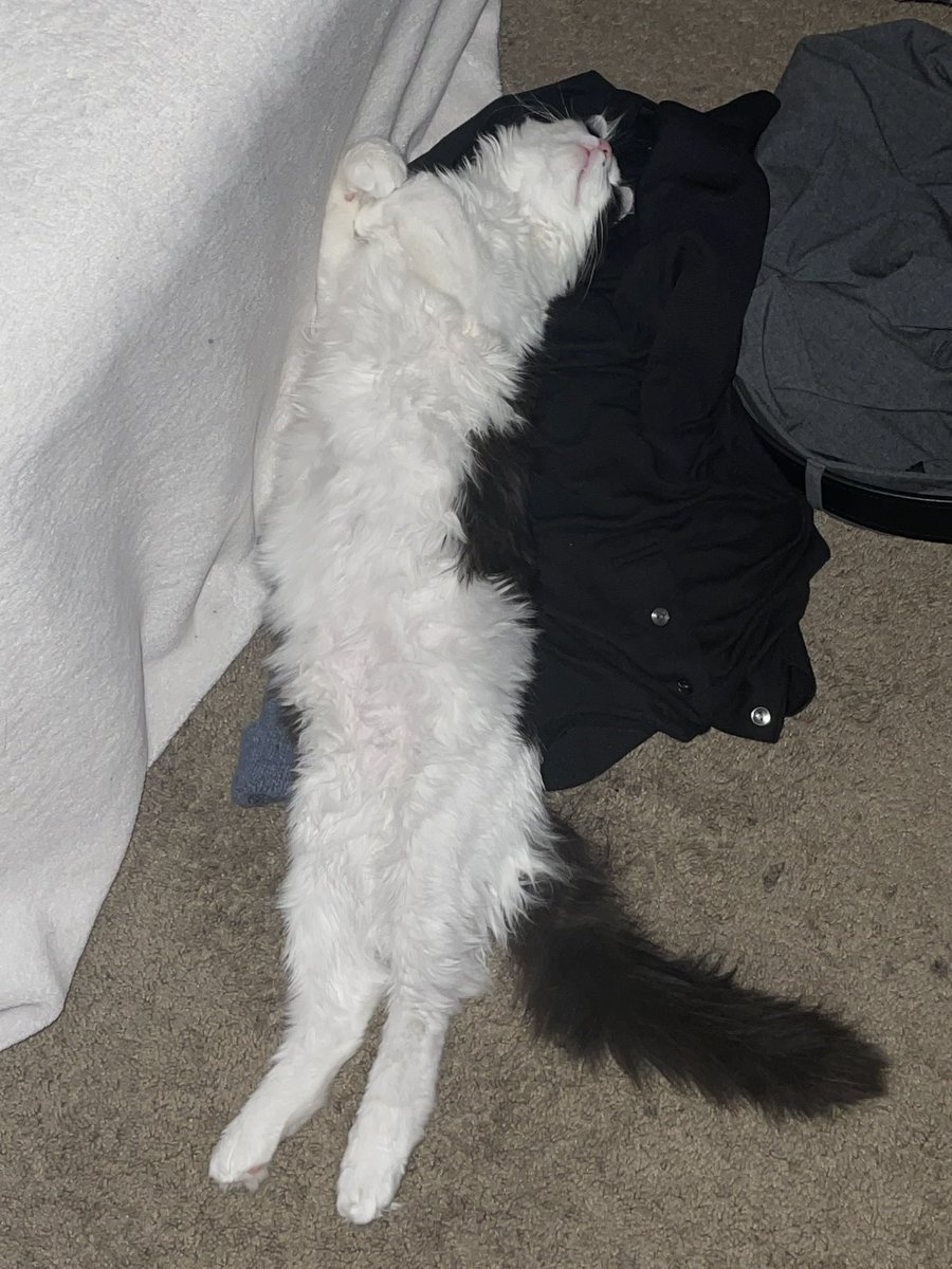 literally sleeping with his arms crossed like a vampire