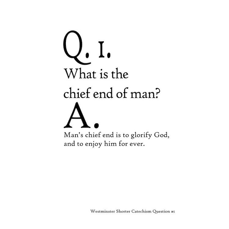 Chafer Neil Stanley (@chafernstanley) on Twitter photo 