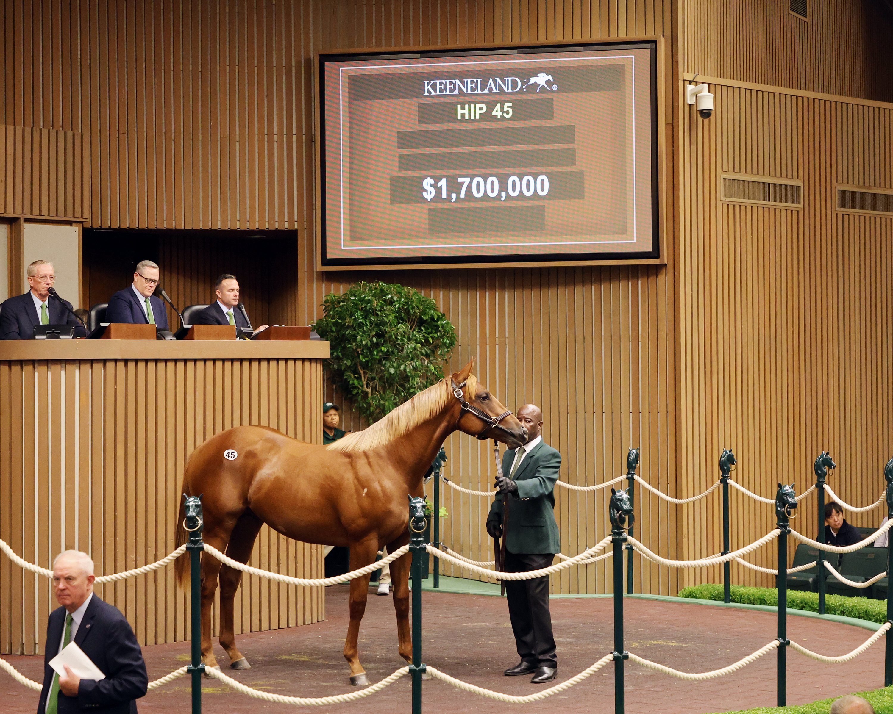 Idol Horse on X: 