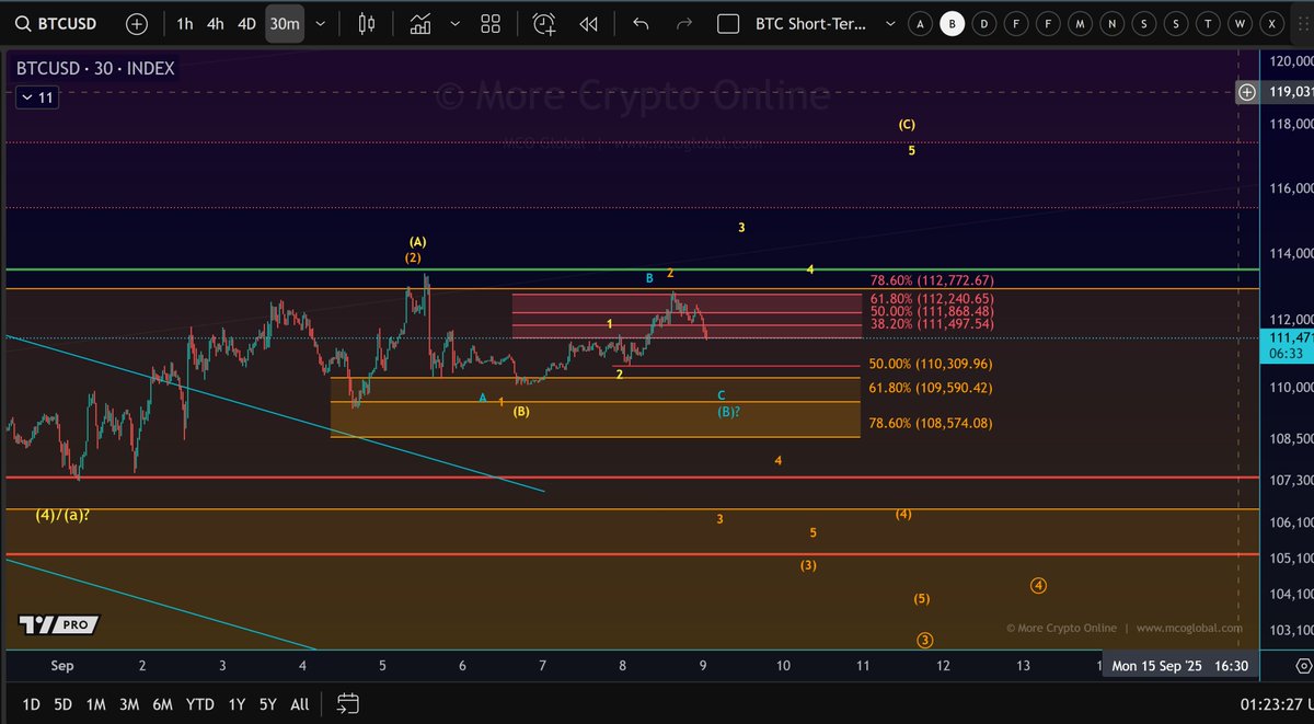 BTC This looks like a small rejection in resistance. If this is a B-wave  price top (blue scenario), then another test of the support zone is likely.  The parameters remain unchanged. It