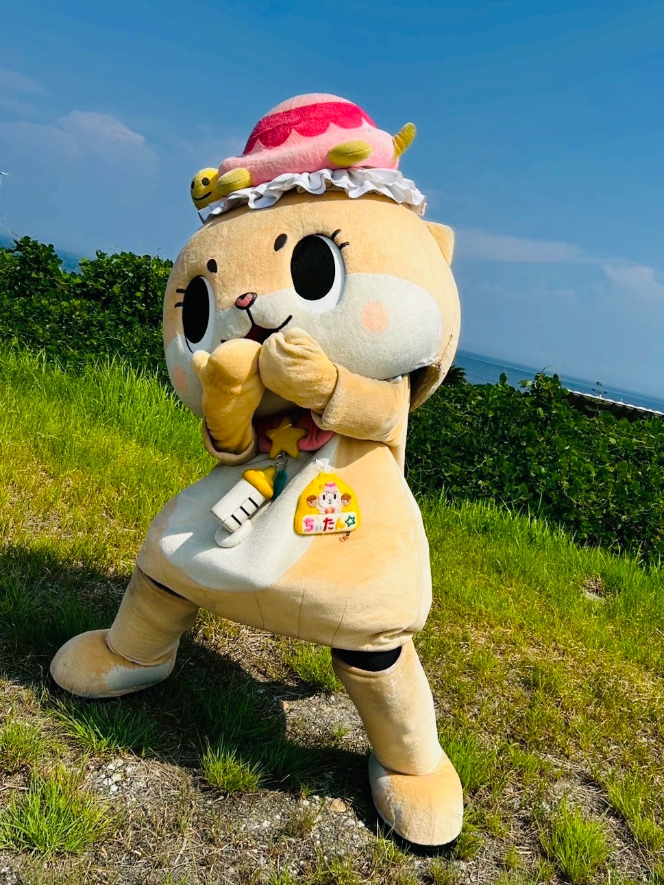 ちぃたんさま専用 ちぃたんさま専用 ちぃたん様⭐️専用 カワウソちぃたん☆のオリジナル