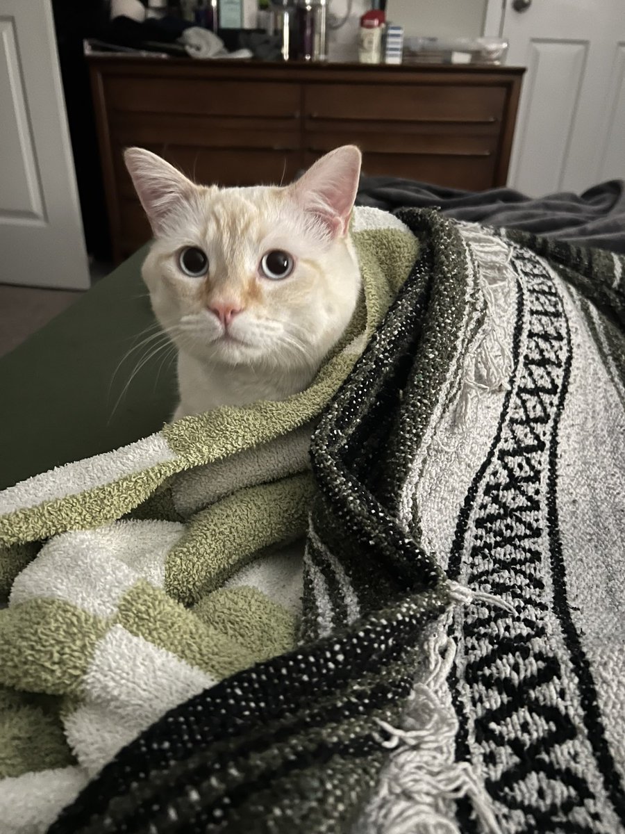 mom got me all tucked in . reddy for be d !
