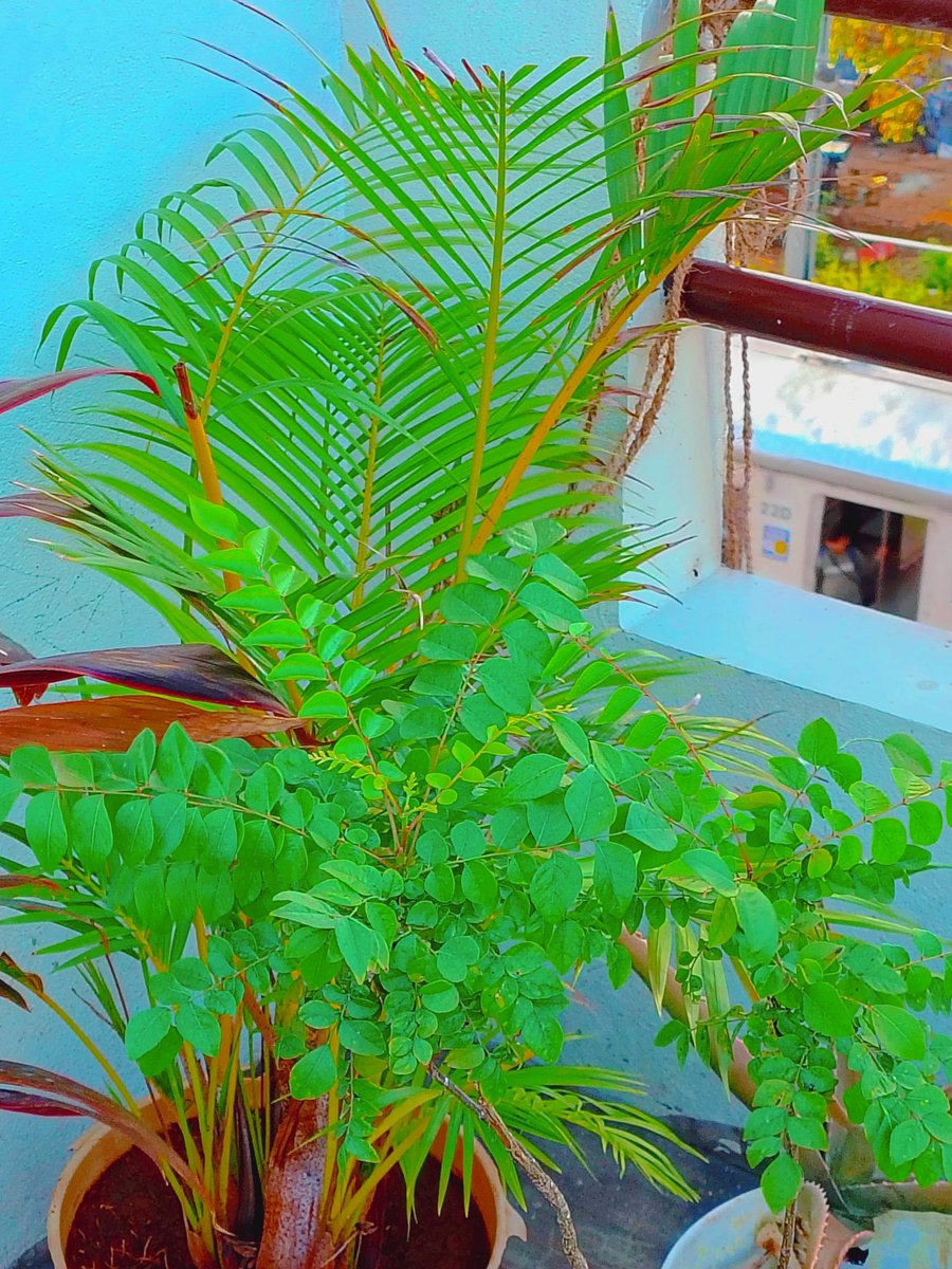 वक़्त-बे-वक़्त जो रिश्ते बदलते हैं,
असल में वो सिर्फ पैसों से पलते हैं।
जिस दिन जेब खाली हो जाए दोस्त,
वही अपने भी गैर निकलते हैं
सुप्रभात भाइयों 🙏