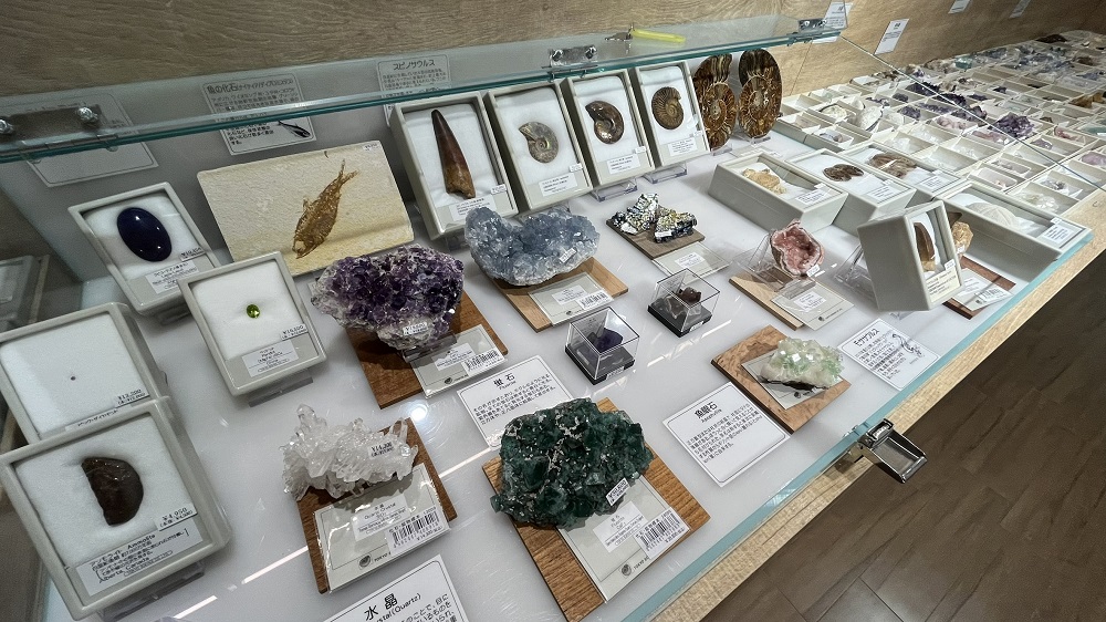 株式会社東京サイエンス (@tokyoscience) / Posts / X 隕石16個セット