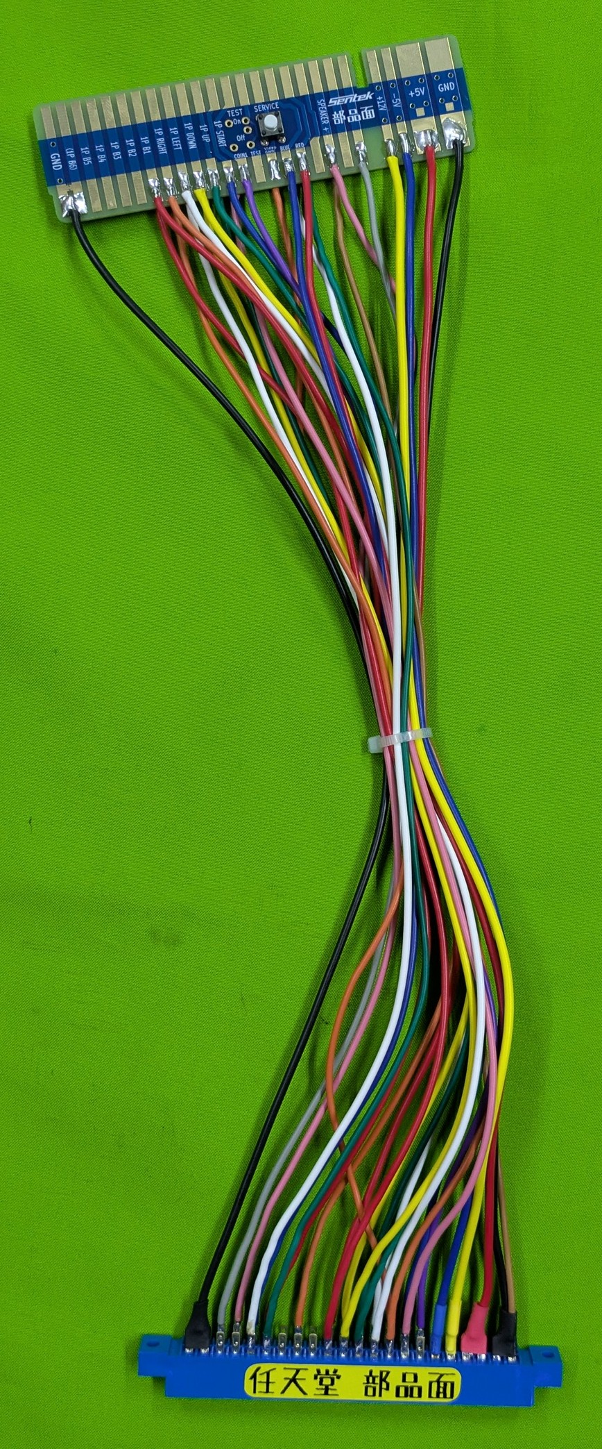 はむはむネネ様確認用 SP48958-19-12.jpg