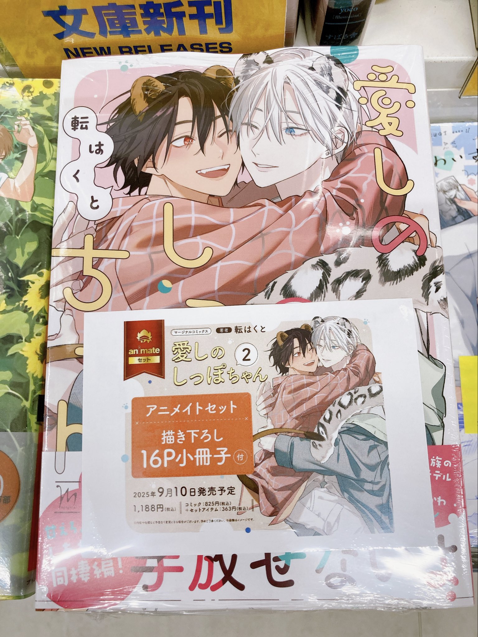 ちりぢりゆくの　全巻　アニメイト特典 新書館 comic&novel