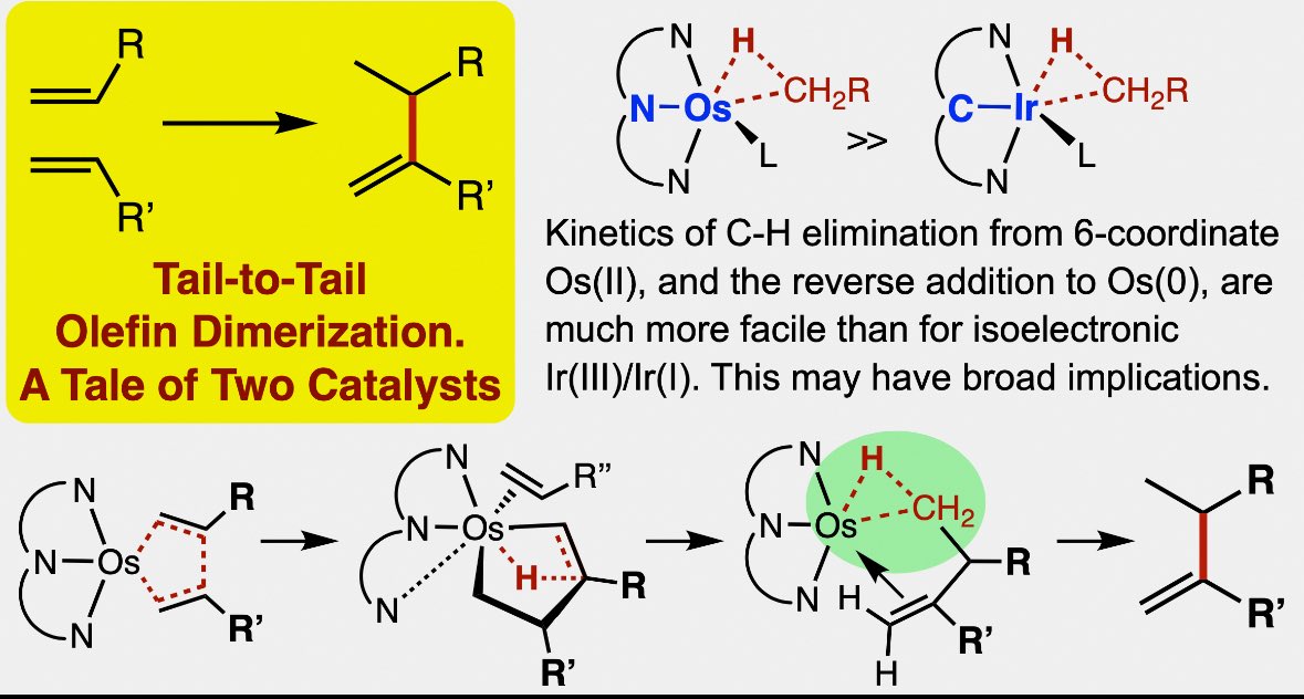 🚨Check out this preprint from <a href="/Goldman_Group/">Goldman Group</a> on (Pybox)Os-catalyzed tail-to-tail homo/hetero coupling of α-olefins. Striking mechanistic differences from isoelectronic (Phebox)Ir shed light on fundamental oxidative addition/reductive elimination steps.
go.shr.lc/4mW0XaY
