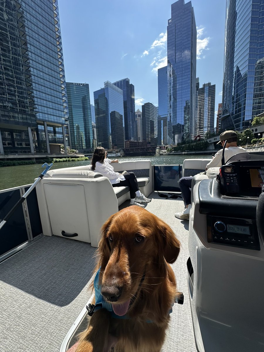 Tyler Zombro tweet media