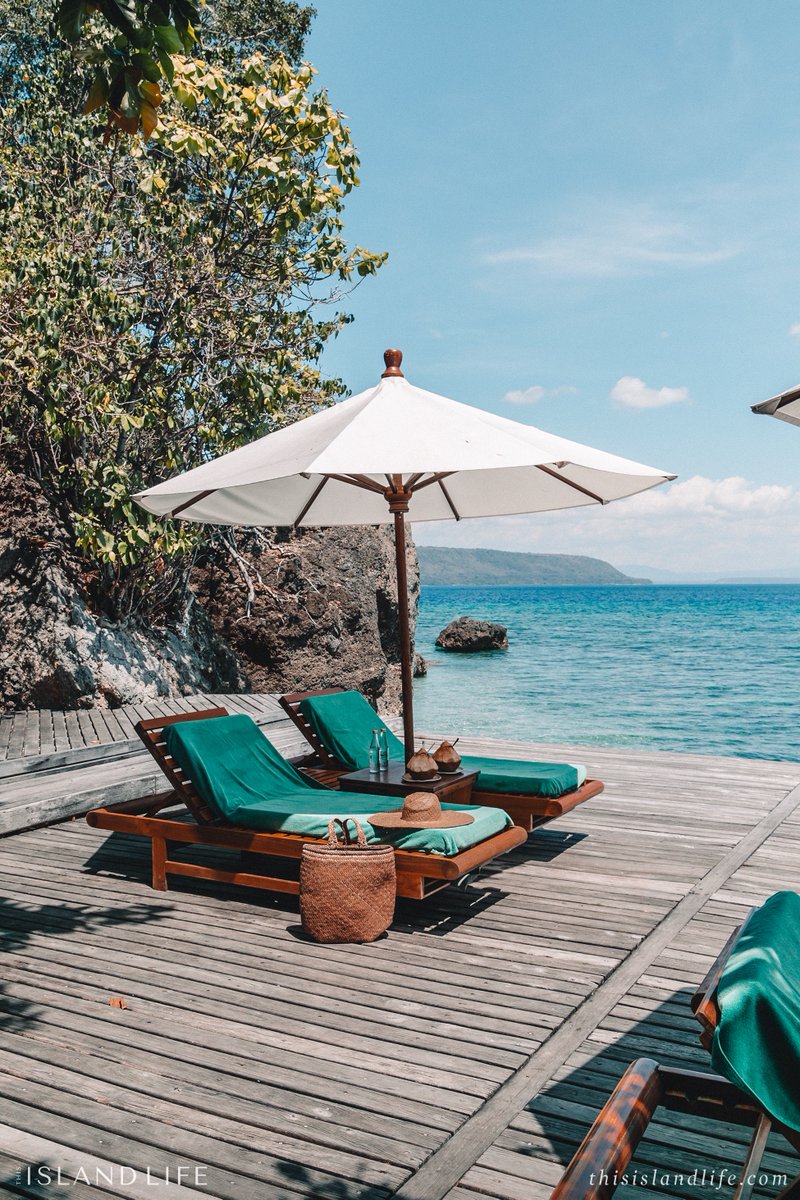 ThisIslandLife tweet media