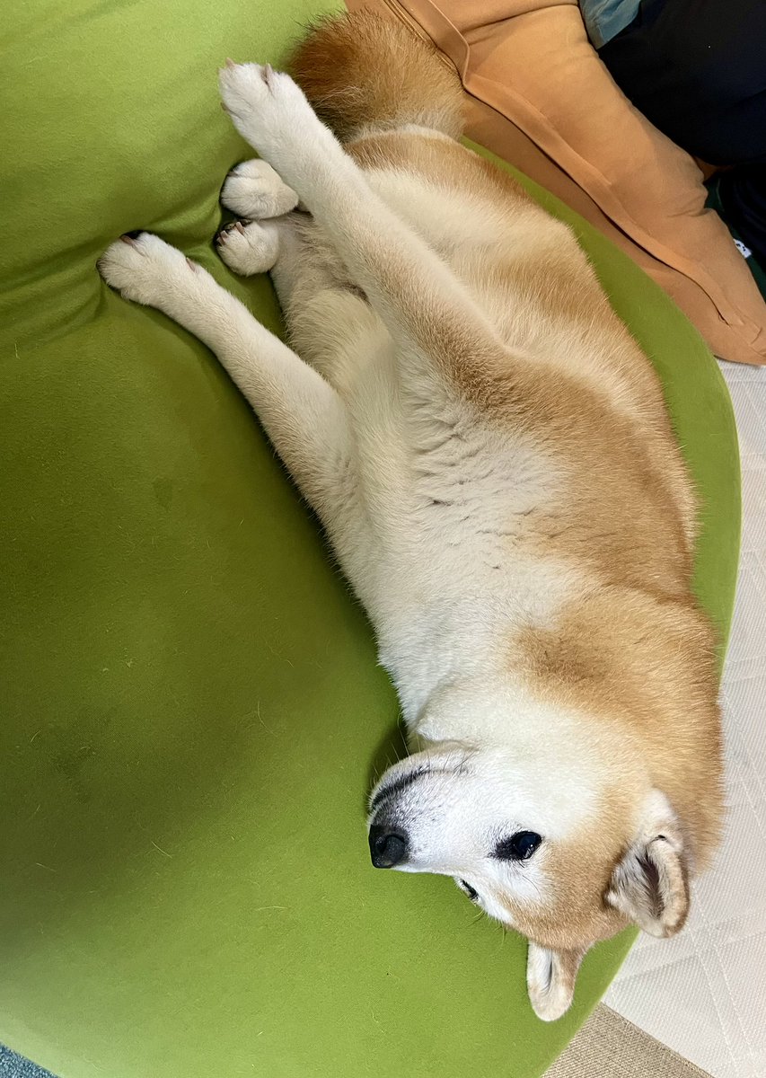 おすわり逆さ犬