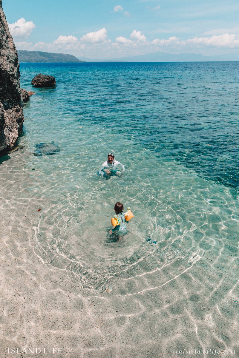 ThisIslandLife tweet media