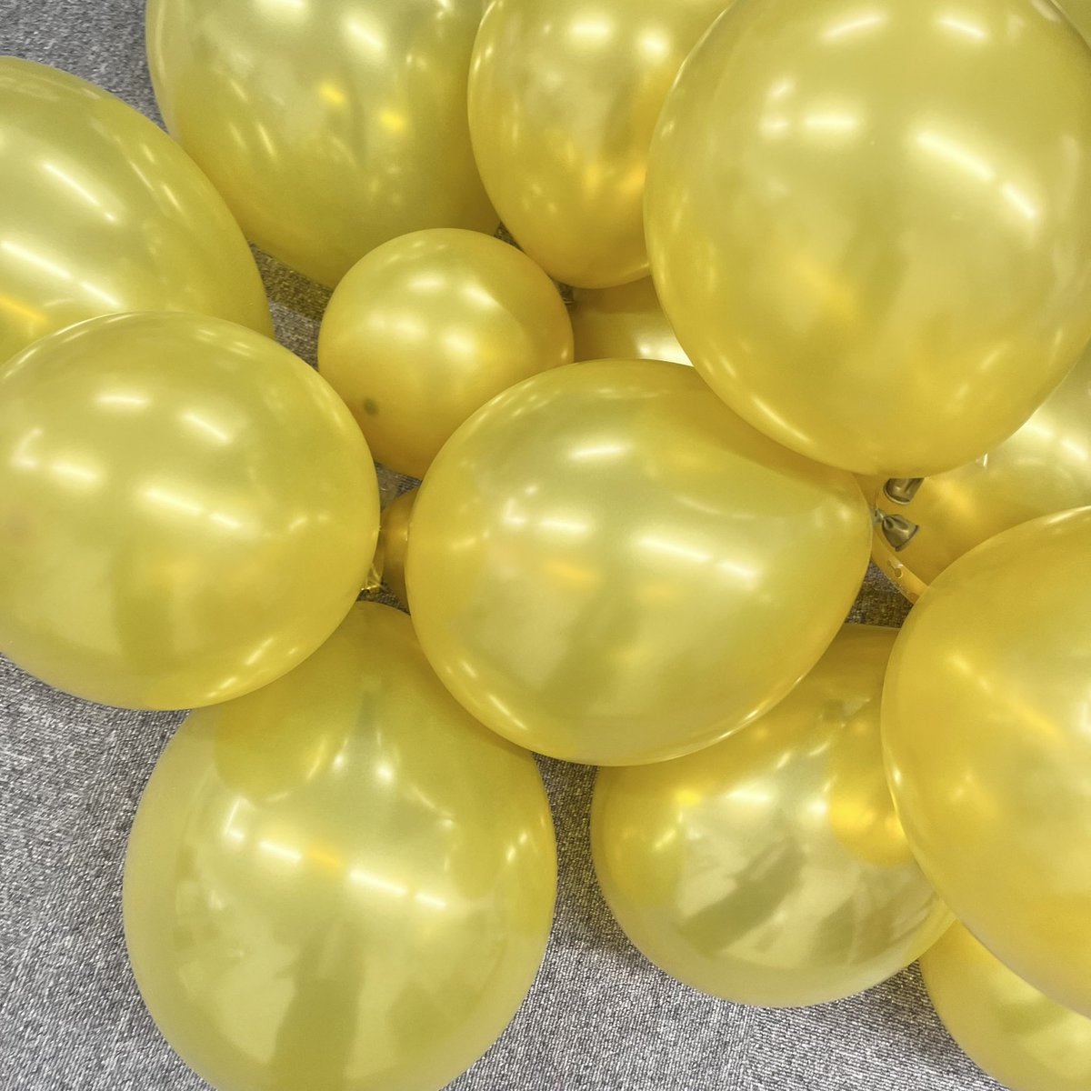 wolf_pack2222's tweet photo. おはようございます☀
見てください大量の風船達🎈
昨日から、東京から来てくださる
大好きな社長達にむけて装飾準備を頑張っています✊
ゴールドの風船なので完熟したシャインマスカットや！と
言いながら膨らましまくりました🍇 https://t.co/3pl6f0cJwe