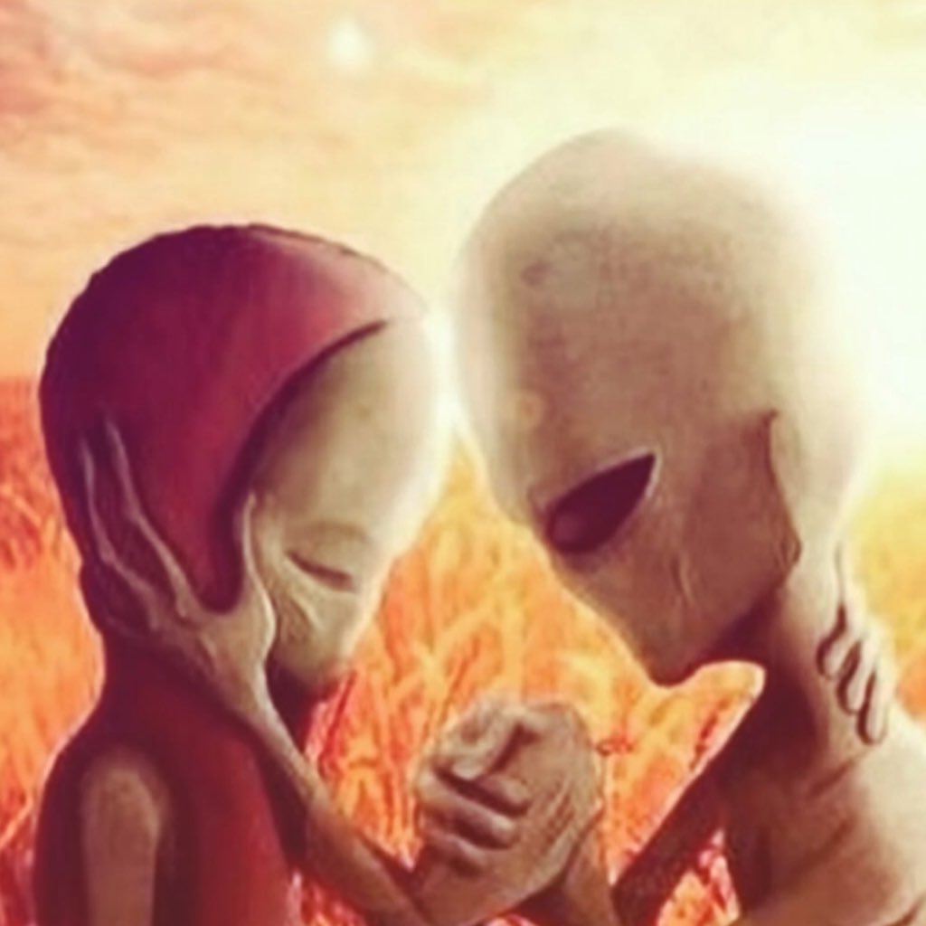 el (@undrcity) on Twitter photo 