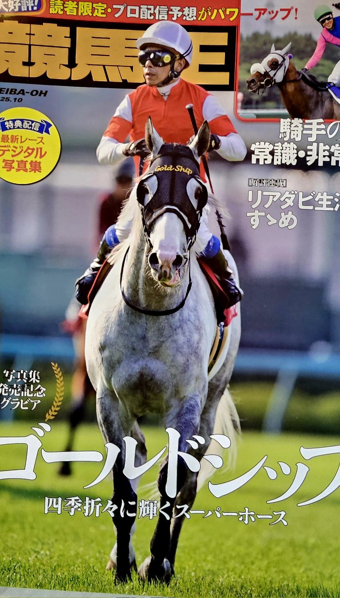 M*i様 ゴールドシップ 写真集&DVD 黄金の帆を掲げて ゴールドシップ