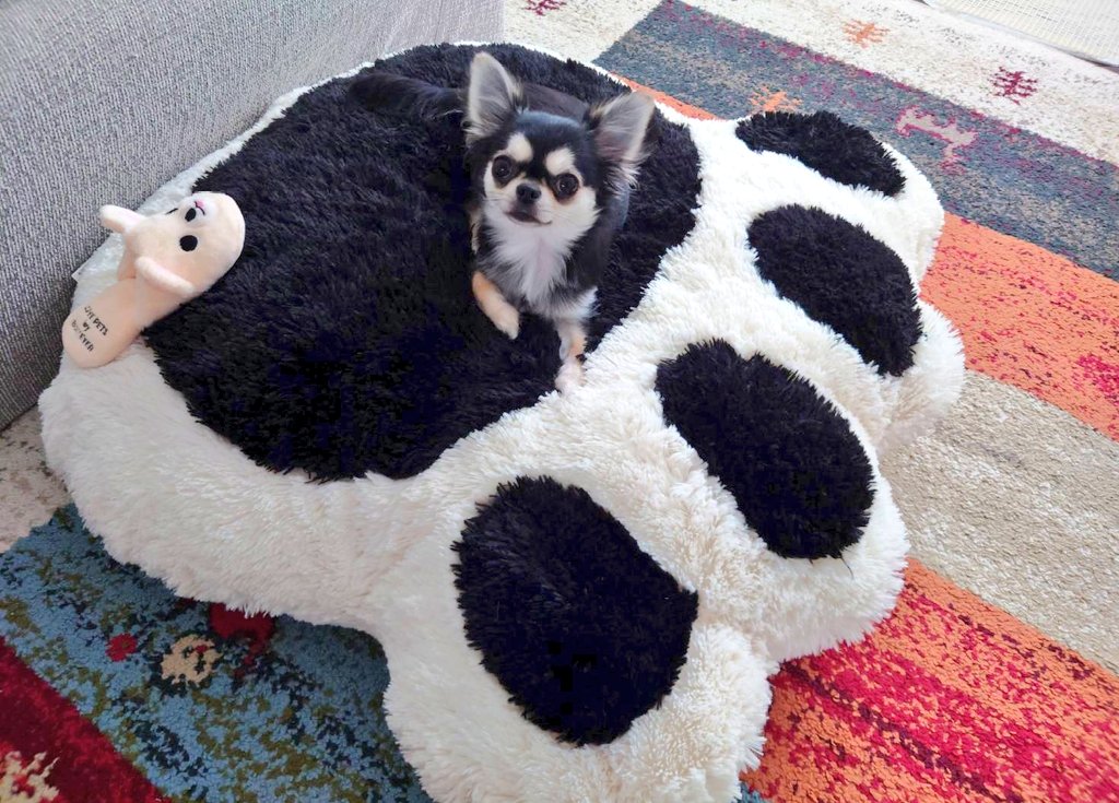 りん見つけた😆🐾