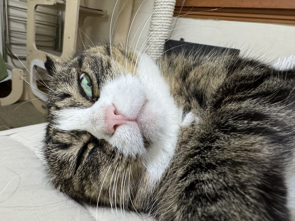 오늘은 8년 전 처음 곰앵을 만난 날❣️