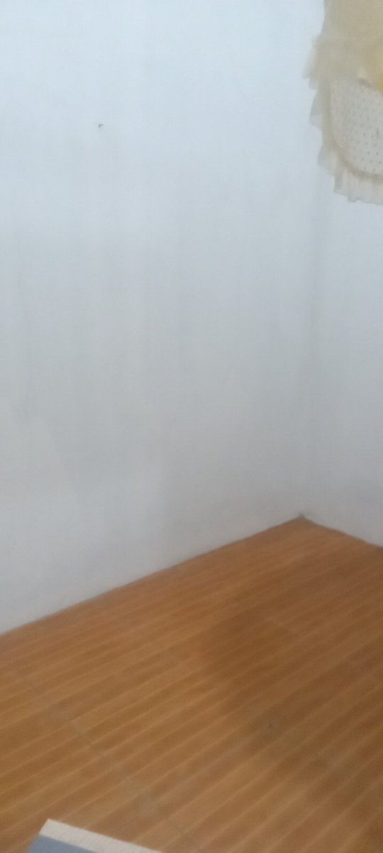 Pagi ini kita opsih kamar ges.
Kaget semalam nemu kamitetep di pojok kamar,..
Langsung gas bersih2