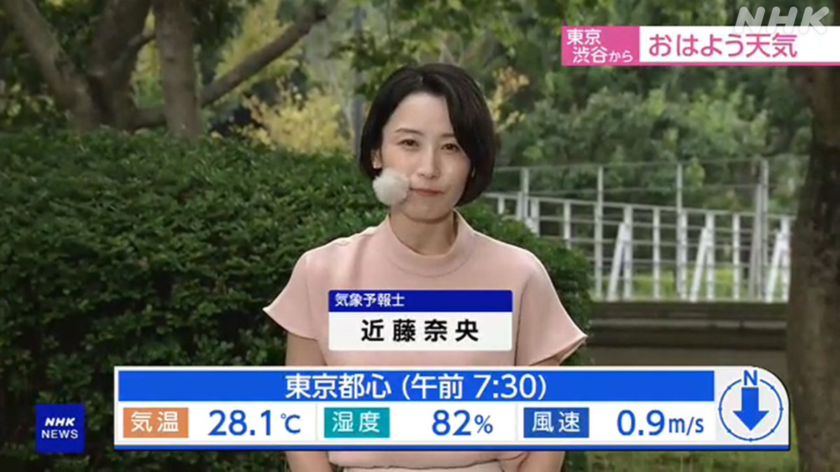 近藤奈央です きょうは重陽の節句 長寿と無病息災を願い菊の花を飾っ