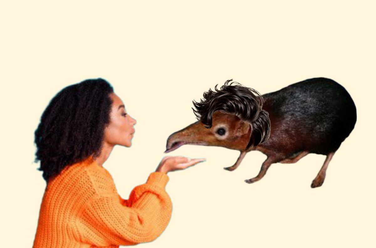 Always trying a new look