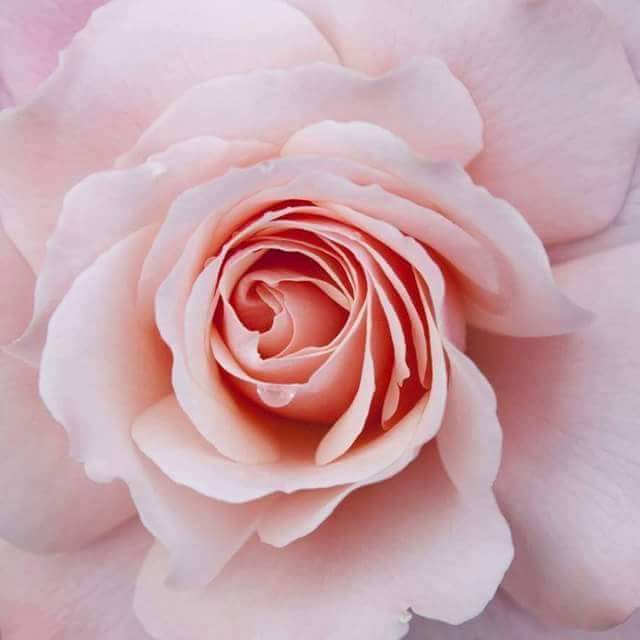 Everyone is important in their own way.
     — Peter F. Hamilton