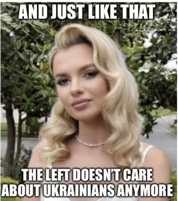 HelloCatch22's tweet image. 