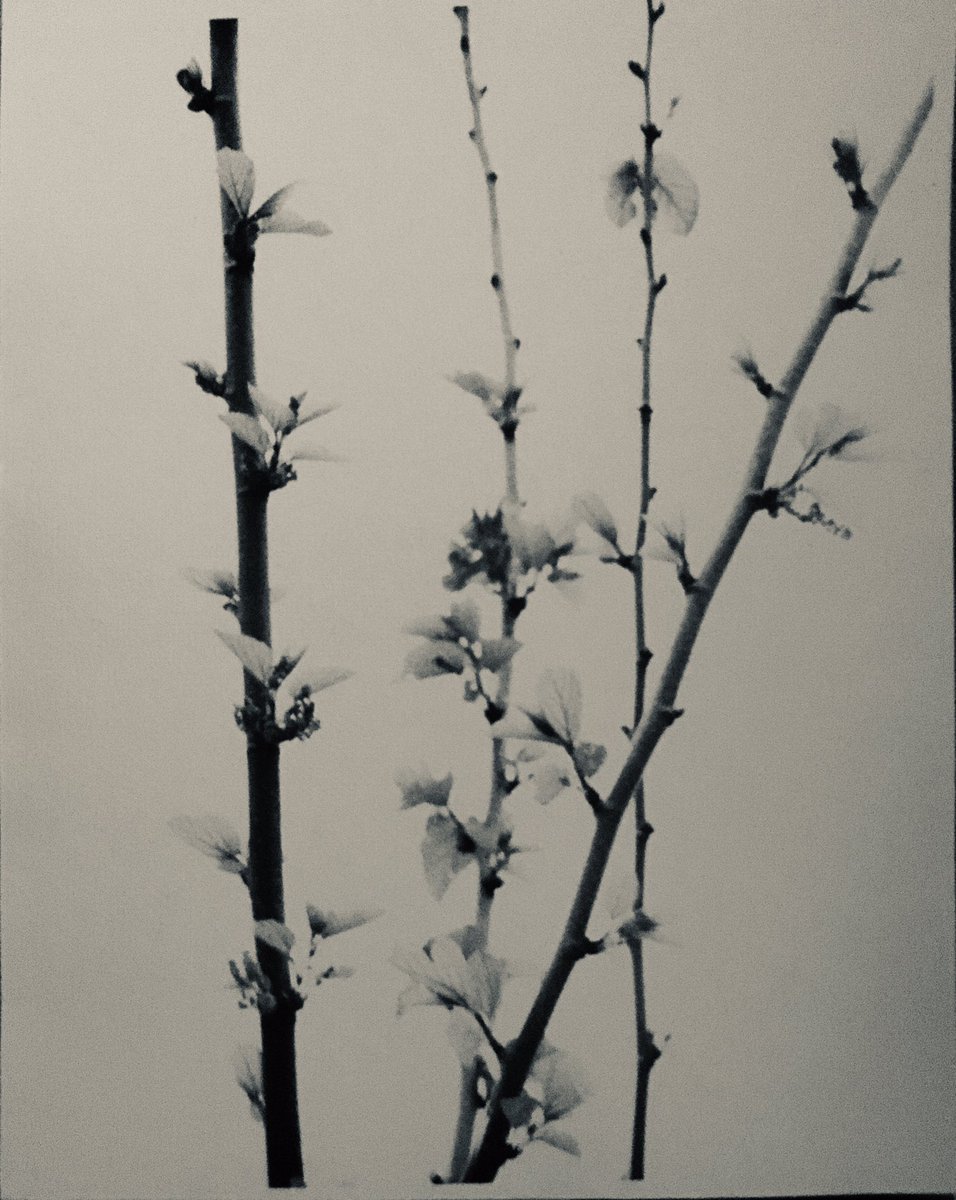 Help Lay Maude's Father to Rest 
spot.fund/11zkw21ct please retweet, thank you 🤍