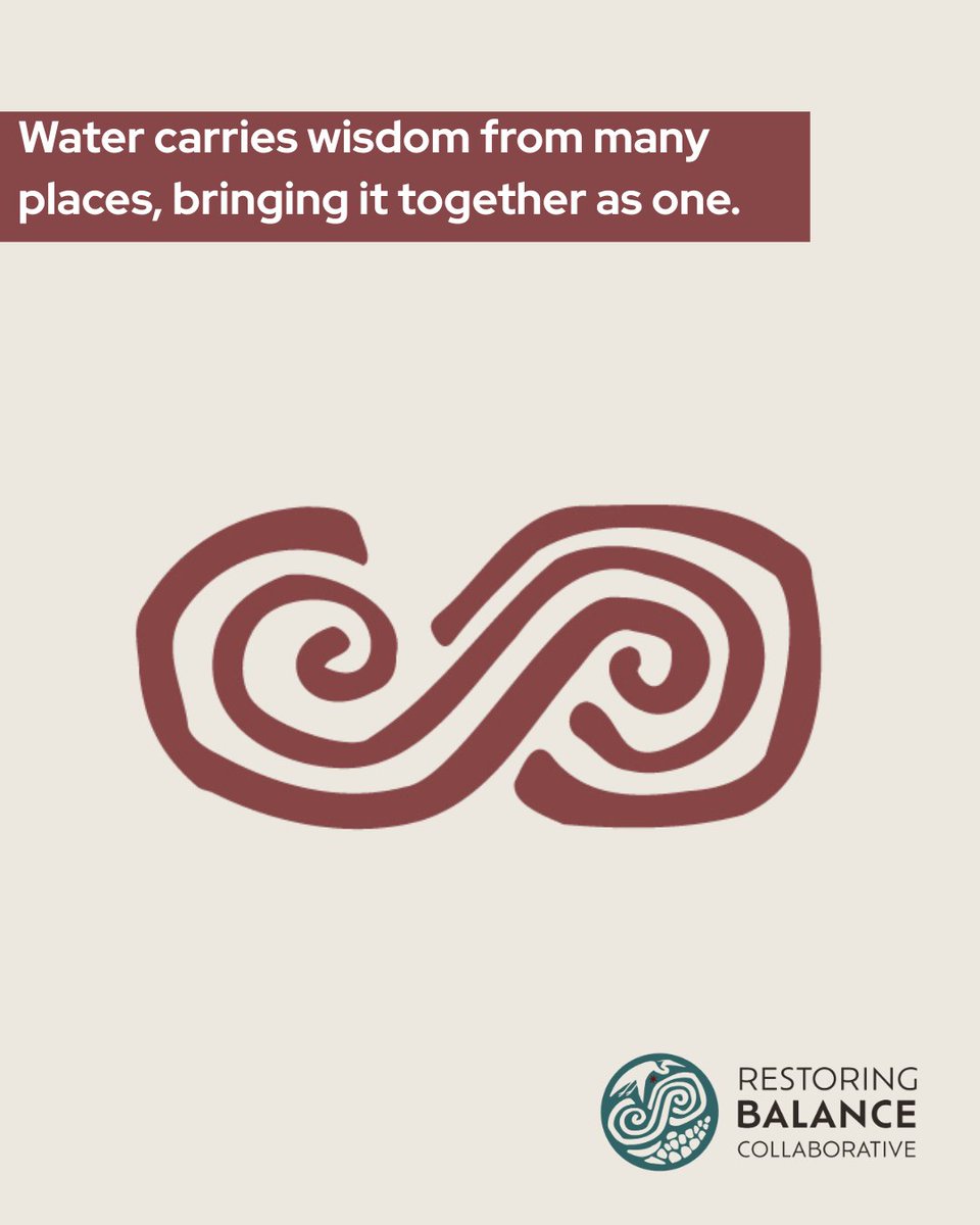 Water connects us, holding &amp; exchanging our knowledge. Our second ripple is about creating space to share wisdom &amp; deepen our collective understanding of shared values &amp; purpose. Our Stewards carry knowledge that uplifts &amp; strengthens our communities. 🔗restorebalance.world