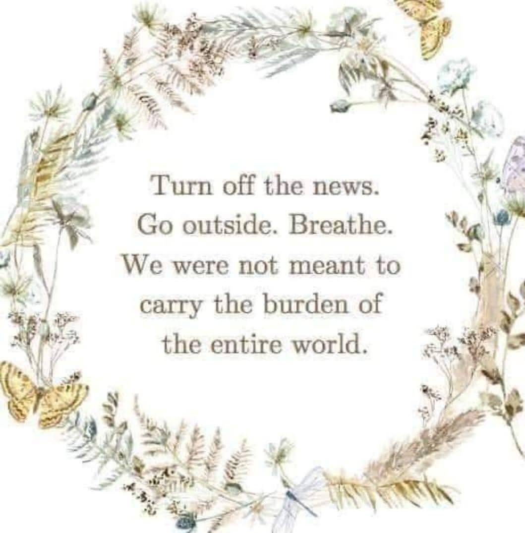 Jan C (@littlejanhere) on Twitter photo 