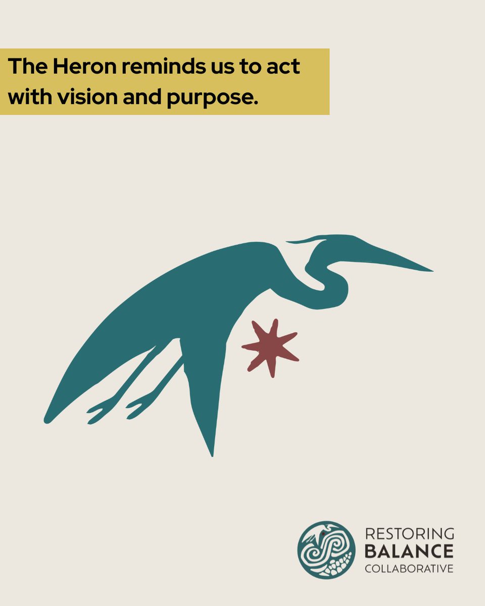 The Heron sees from above, moves with patience, and knows the way forward. 
Our third ripple is about sharing #Indigenous-led solutions that last. 
Our Stewards are shaping systems that sustain people and planet.

🌎🔗 Be part of our ripple: restorebalance.world
#ActOnClimate