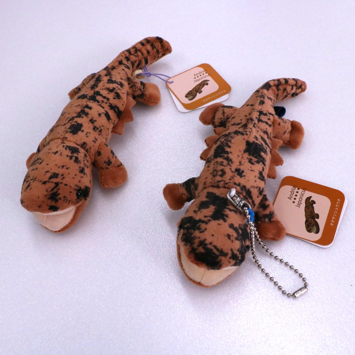 相模川ふれあい科学館 アクアリウムさがみはら on X