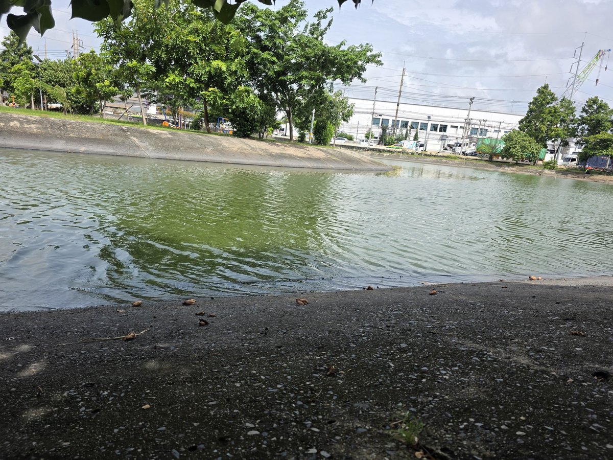 54KAOO's tweet image. อากาศดี ลมเย็นสบาย มานั่งด้วยกันไหม #สวนสุขใจ 
#เคหะบางพลี 
#เคหะบางพลีนัดเย็ด 
#ไทยประกัน 
#บางบ่อ 
#ชายแท้