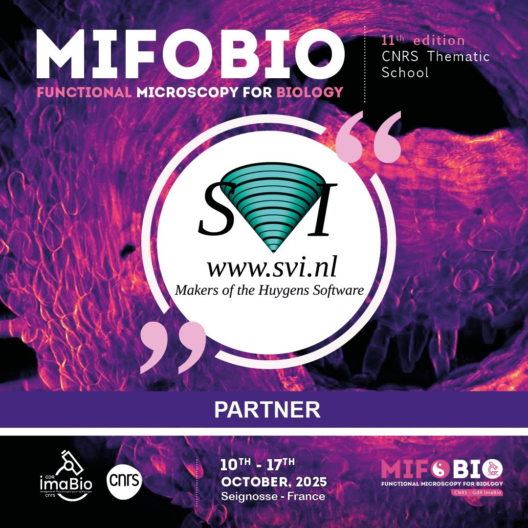 SVI Huygens (@svi_huygens) on Twitter photo ✨ Exciting news!
SVI is now a proud partner of the <a href="/GDR_ImaBio/">GDR ImaBio</a> will be present at #Mifobio2025 🎉
We’re looking forward to this inspiring event — a great opportunity to connect and exchange ideas on Deconvolution, Image restoration, Analysis and Imaging quality control. ✨ Exciting news!
SVI is now a proud partner of the <a href="/GDR_ImaBio/">GDR ImaBio</a> will be present at #Mifobio2025 🎉
We’re looking forward to this inspiring event — a great opportunity to connect and exchange ideas on Deconvolution, Image restoration, Analysis and Imaging quality control.