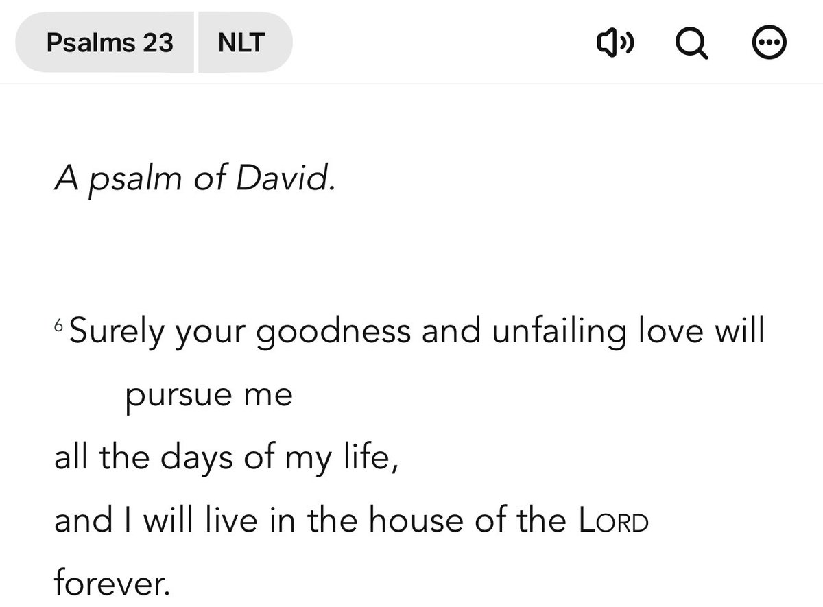 Meladi_M tweet media