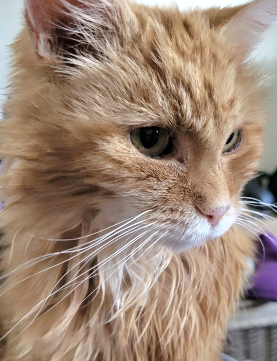 RED'S JEWELS tweet media