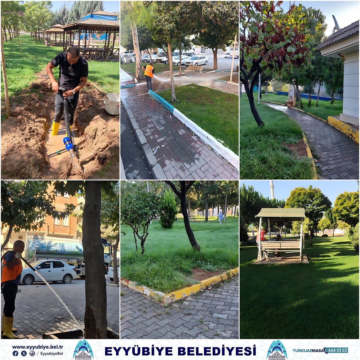 🌳Eyyübiye Belediyesi Park ve Bahçeler🌱Müdürlüğü'nden Yeşil Dokunuş!

Eyyübiye Belediyesi Park ve Bahçeler Müdürlüğü ekiplerimiz, parklarımızı yemyeşil ve tertemiz tutmak için durmaksızın çalışıyor! 💦 Parklardaki su arızlarını hızla onararak kesintisiz sulama sağlıyoruz.