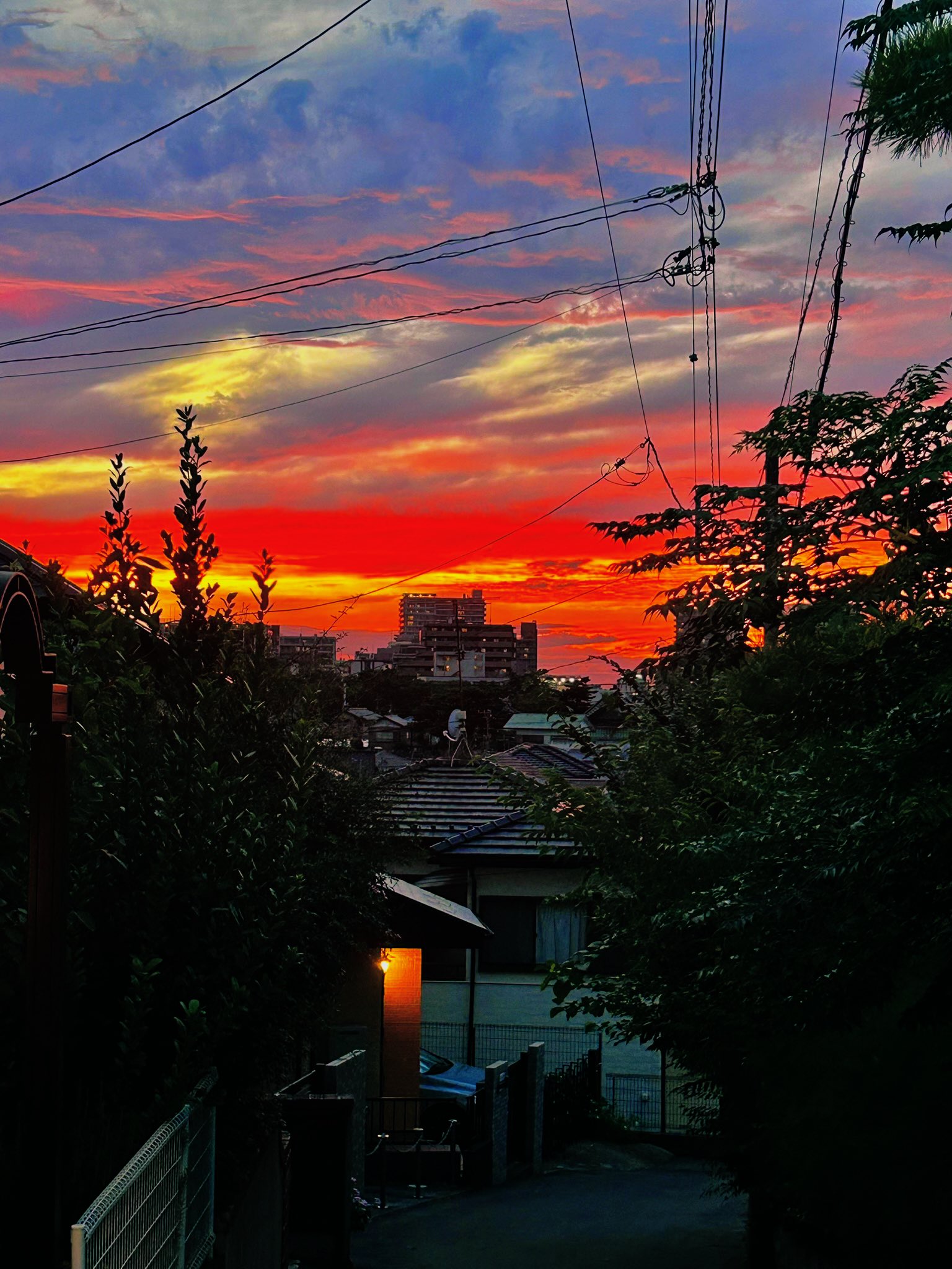 風景 - Search / X