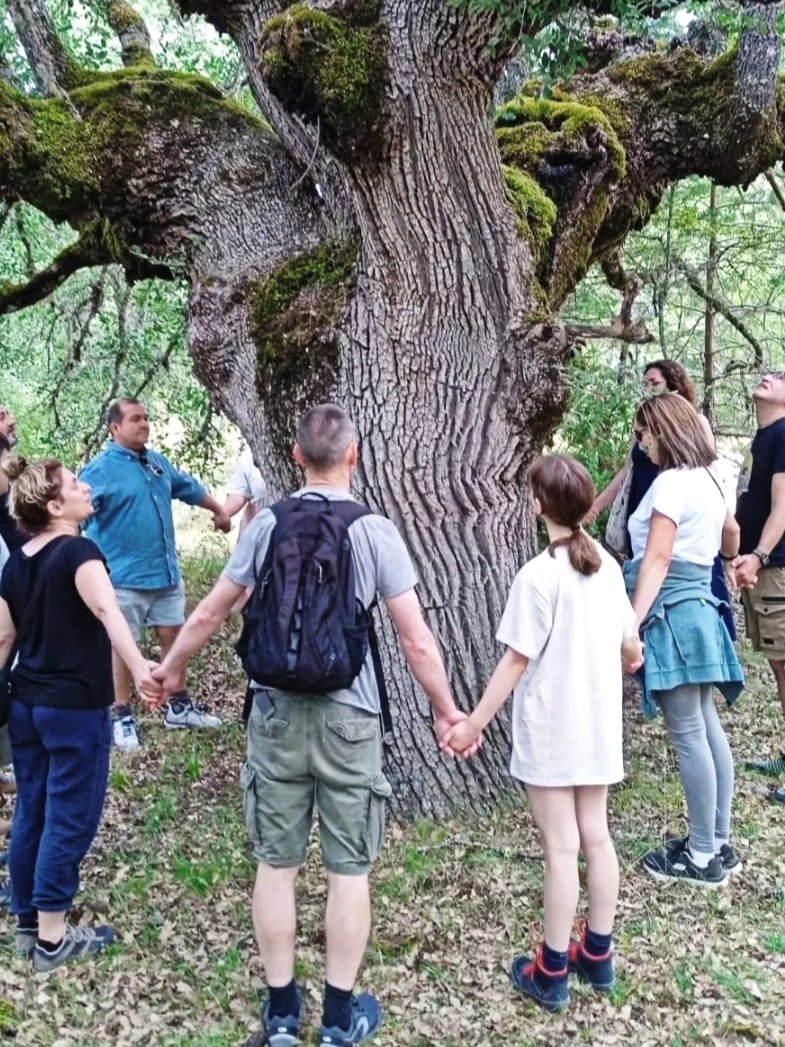 ¡Ven a desconectar para conectar contigo mismo!
Tenemos un entorno ideal para realizar baños de bosque y resintonizar con la naturaleza.

Reservas ⬇️
📧 info@elcielodemuriel.com
📲 975 040018

#elcielodemuriel #hotel #murielviejo #soria #castillayleon #turismo #starlight
