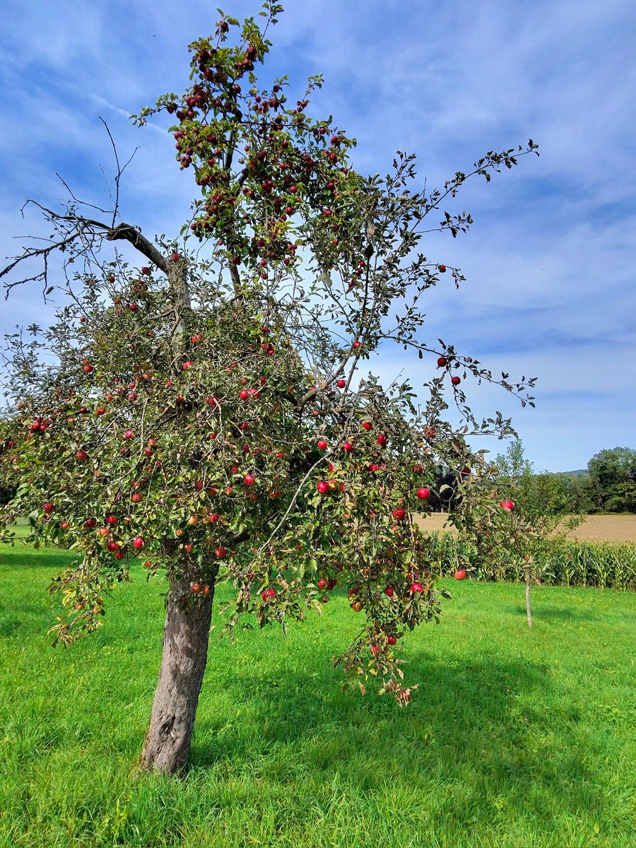 Really excited for the upcoming #Apple event in my backyard