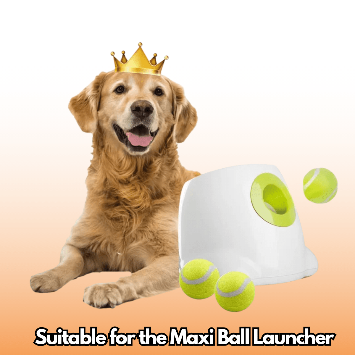 CalmShops's tweet image. Keep your large dog entertained with our 2.5-inch tennis balls, perfect for Maxi Launchers! Durable and just the right size, this 6-pack ensures endless fetch fun. Get yours for £12.95! 🎾🐶 #DogPlaytime #FetchFun calmshops.co.uk/products/2-5-b…