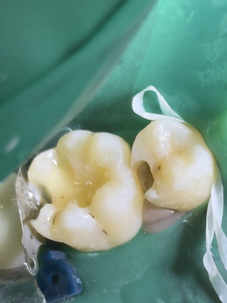 ساعد الغامدي tweet media