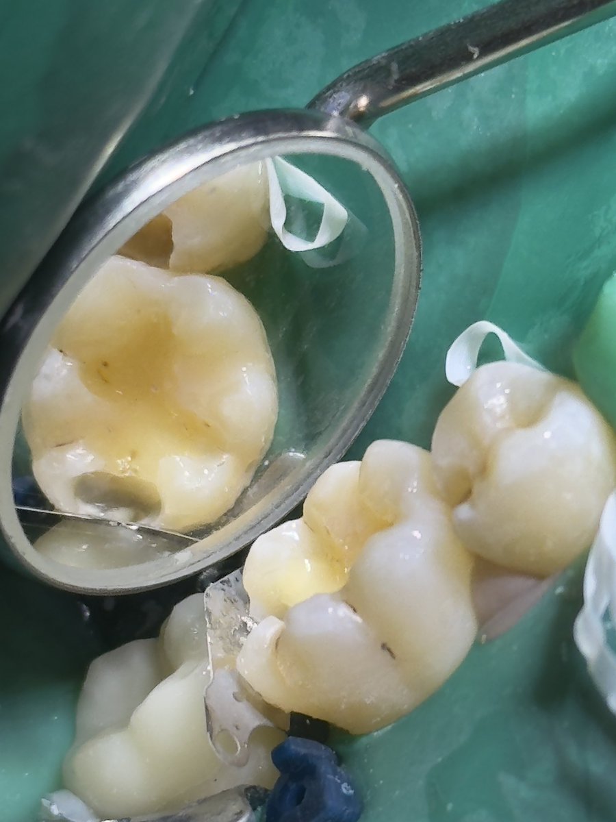 ساعد الغامدي tweet media