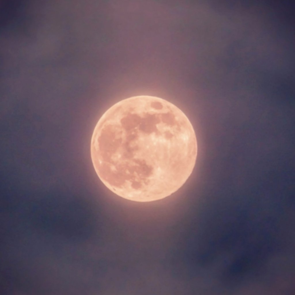 #microcuento
Un dia el Lobo se cansó de la actitud irreverente de la luna, y decidió marcharse.-
Entonces la luna comprendió que los aullidos eran para ella... 
(para entonces ya no había vuelta atrás)