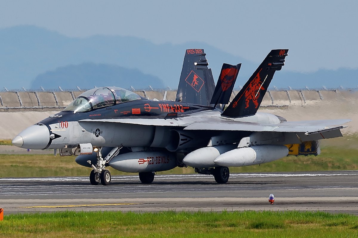 かめちゃん Z3140】さよならカメちゃん 置きタイプ 2個組