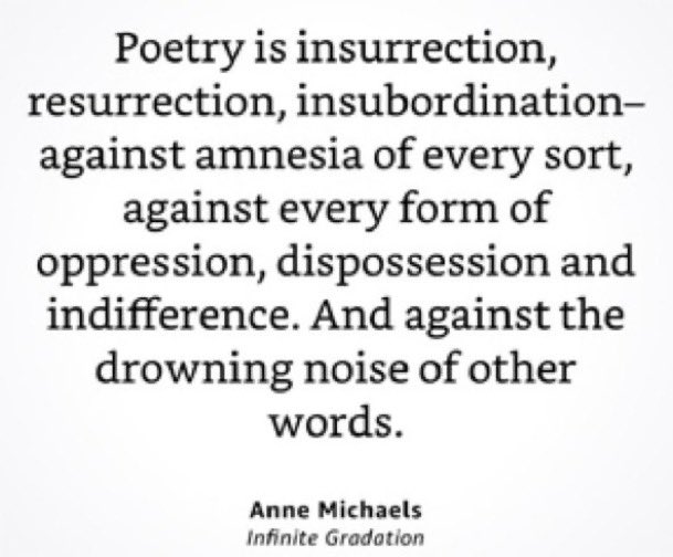 #poetry

 america’s garden

i call a spade a spade
but now the spades are bent 
and broken
tilling up nothing 
but the soil of treason 
under which lies 
the explosive ordnance of violence repression and every other evil accruing to a government 
no longer by and for the people