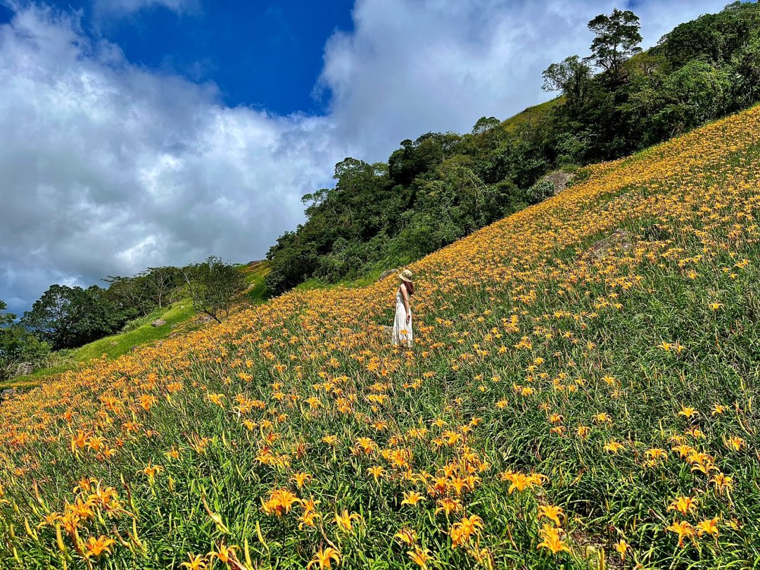 花蓮・六十石山の美しさは、やっぱり自分の目で見ないと感じられないですね👀✨
やっぱり歳を重ねるほど自然が好きになっていくのかな🌿🌚
#台湾花蓮