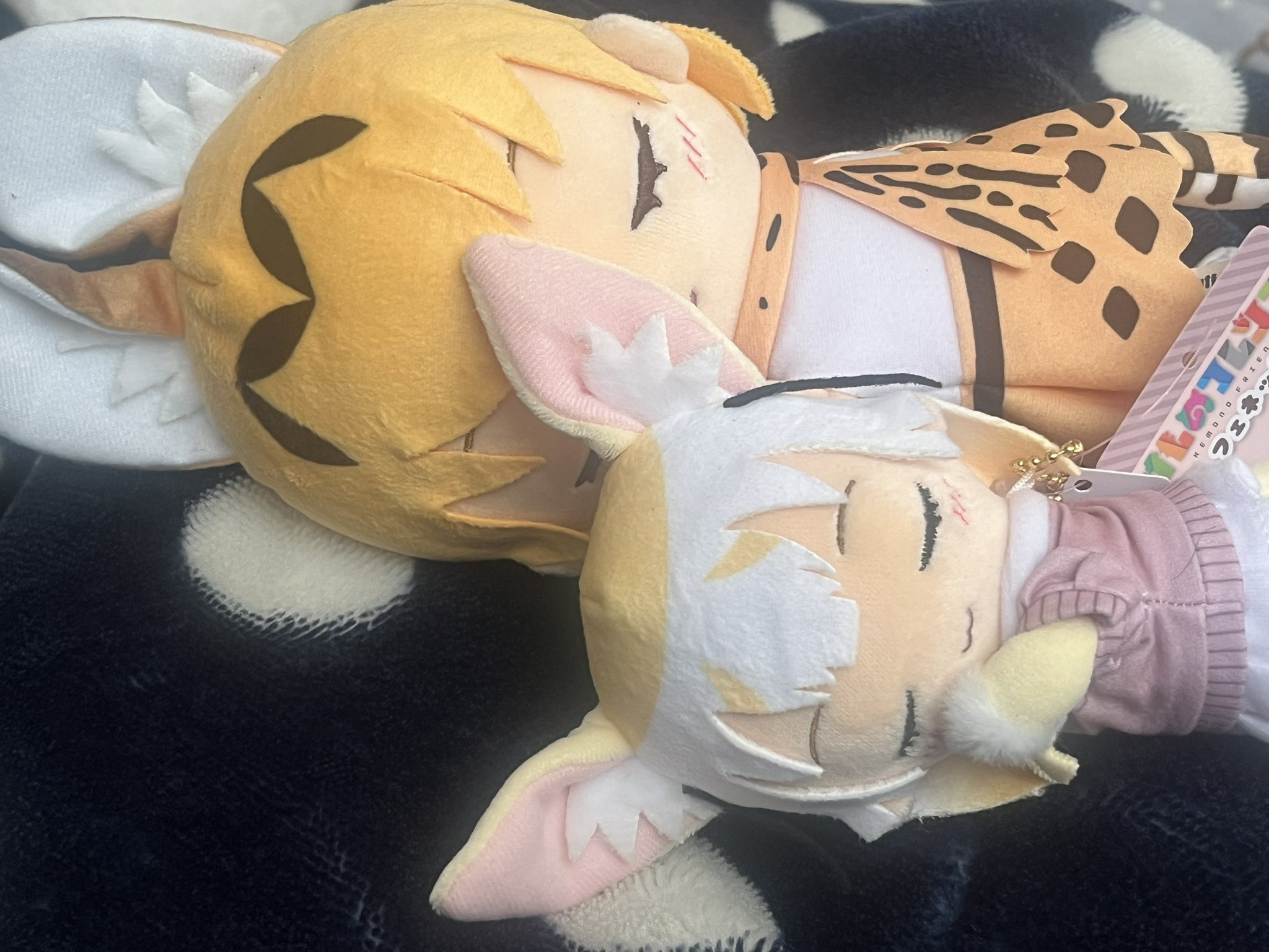 ぬいぐるみ⚠いいね、押さないで下さい Amazon.co.jp: MF77301 すみっコぐらし おまじないぶらさげ