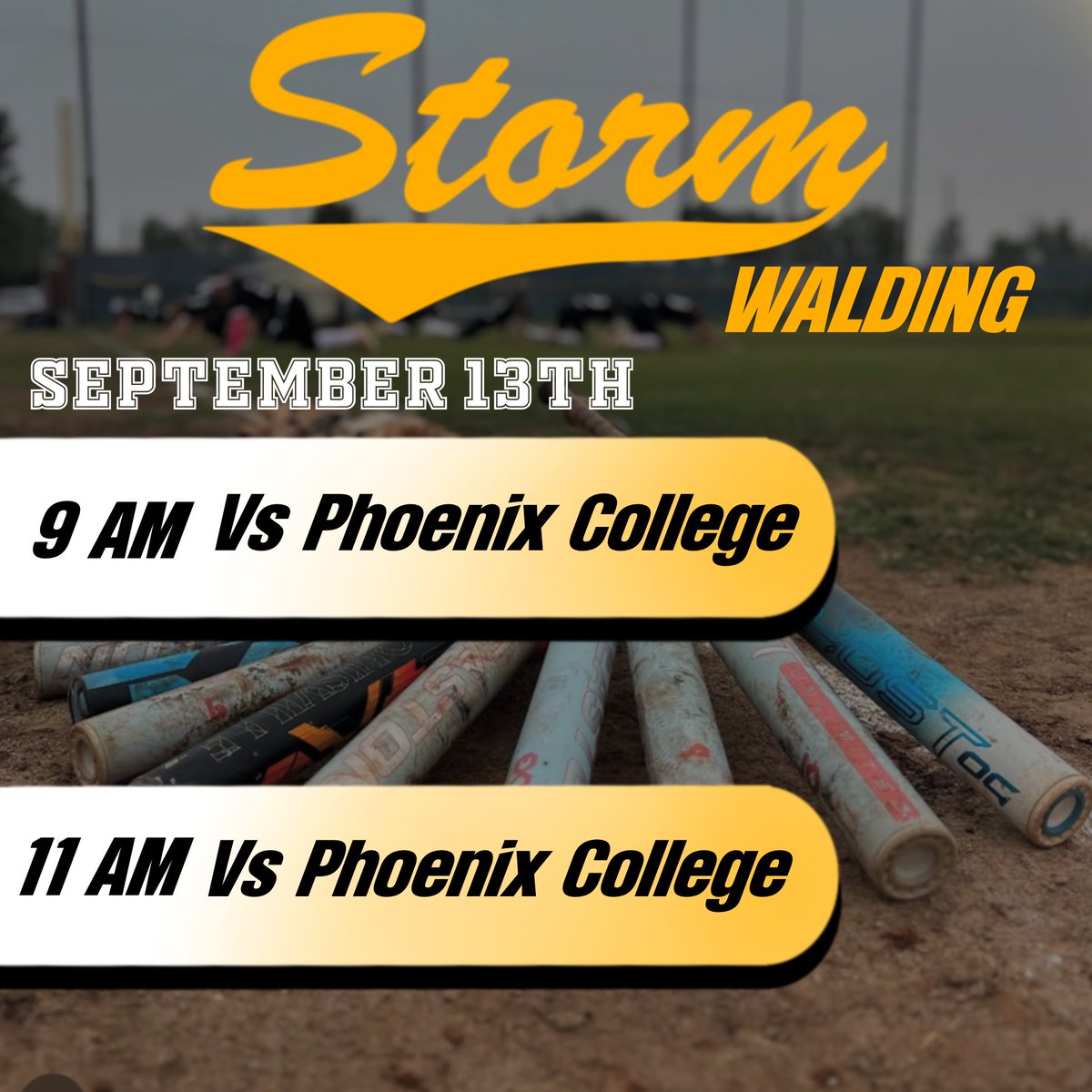 Arizona Storm Walding tweet media