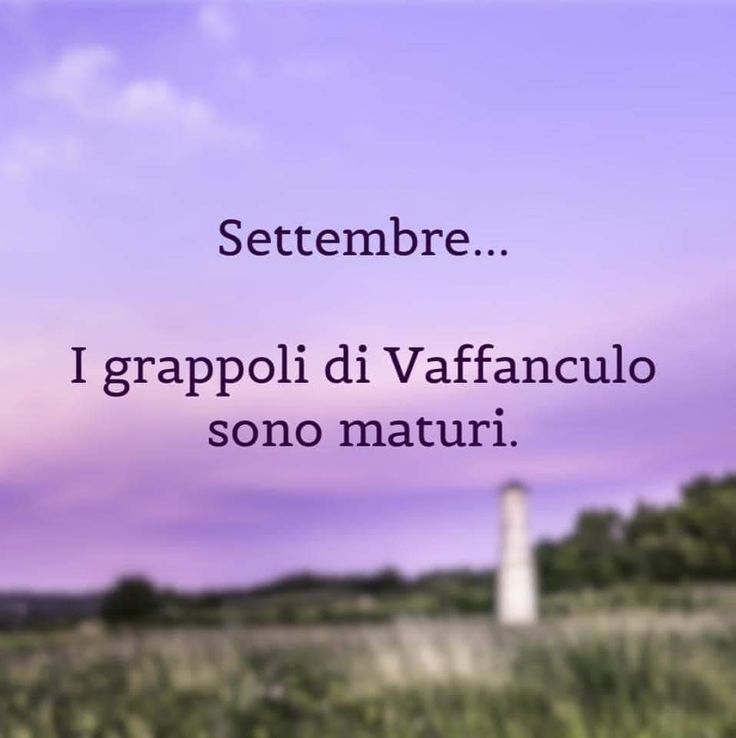 BUONGIORNO E BUON MARTEDÌ A TUTTA LA #FAMILY
[cit].                                      (a stasera)